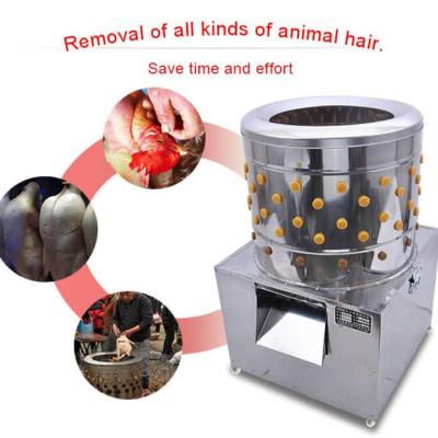 China Chicken Plucking Machine Chicken Plucking Machine / Poultry Feather Plucker For Sale for sale