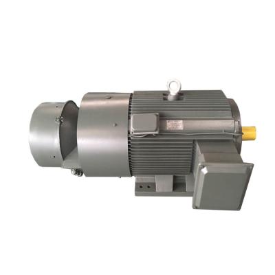 China Year Totally Enclosed Slip Ring High Voltage Three Phase Electric Motor for sale