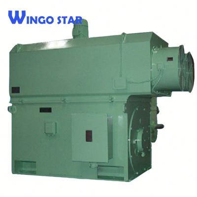 China 250kw 3.3kv Ykk Series Mid Size Totally Enclosed High Voltage AC Asynchronous Motor for sale