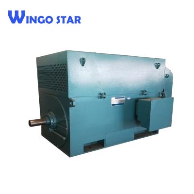 China Totally enclosed high voltage three-phase asynchronous industrial electric motor for sale