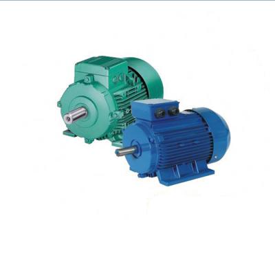 China Totally Enclosed 5kw Electric Motor For Low Speed ​​Electric Three Phase Brushless AC Motor Kit for sale