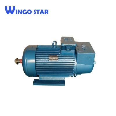 China Totally Enclosed YZR Series 3 Phase AC Asynchronous Brushless Elevator Hoist Hoist Motor for sale