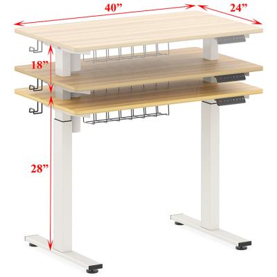 China Wholesale Double Motor Height Ergonomic Adjustable Electric Standup Lift Height Adjustable Computer Study Computer Standing Desk For Sale for sale