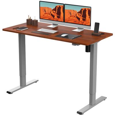 China (Height) Desk Height Adjustable Sit Stand Desk Home Office Adjustable Electric Desks With Splice Panel for sale