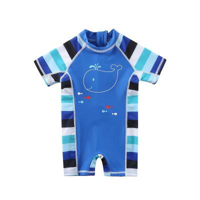 China 2023 New Design Baby Boy Fashion Dolphin Fish Printing Swimsuit Kids Swimwear One Piece Swimwear With Back Zipper for sale