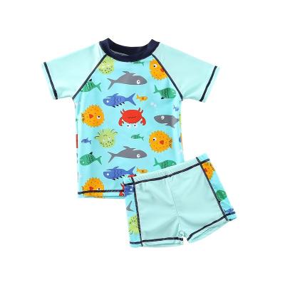 China Breathable New Arrival Two Piece Swim Set Hot Selling 3 Colors Beautiful Child Swimwear Swimwear Boy Swimwear for sale