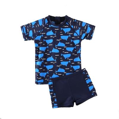 China Hot Selling New Arrival Swimsuits Swimsuit Bathing Set Designer Bathing Suit Handsome Kid Boy Breathable Two-Piece Swimwear for sale