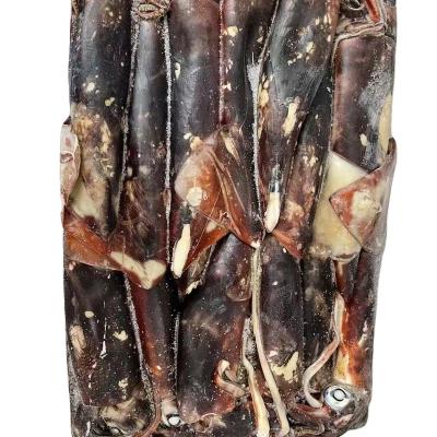 China DOSIDICUS GIGAS WR 500/1000 Frozen Calamar Squid from Ecuador for sale