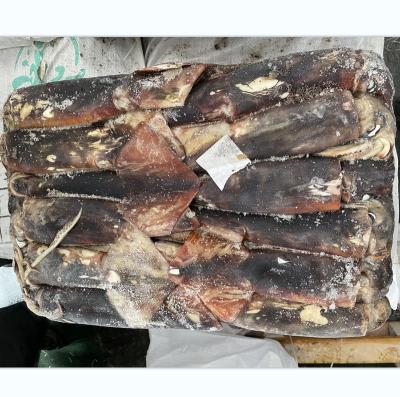 China 2021 New Arrival Nutritious Whole Round Squid /Dosidicus gigas squid/Ecuador squid for sale