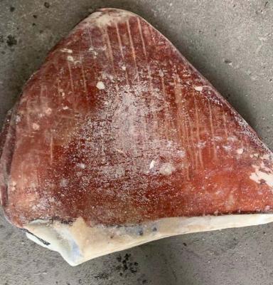 China NEW nutritious seafrozen giant squid wing for sale