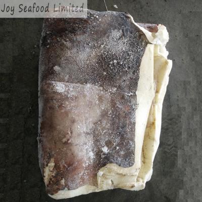 China Nutritious frozen squid fillet skin from Chile or Peru on 2-4kg for sale