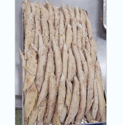 China FROZEN COOKED BONITO LINES /SKIPJACK LINES /COOKED BONITO FLAKES for sale