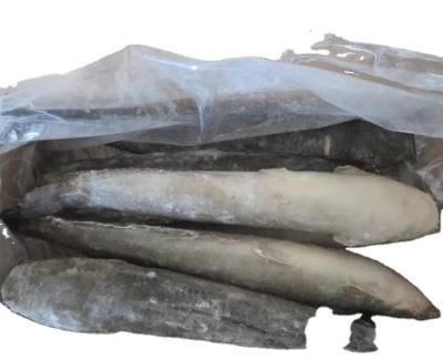 China FROZEN frozen catfish on sale/catfish for sale