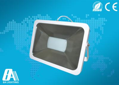 China Aluminum 3000k Brightest External Flood Light 100w / Landscape Flood Lights for sale