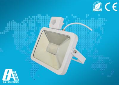 China 30Watt Portable Led Flood Light High Brightness Aluminum Housing With CE for sale