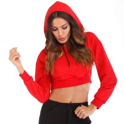 China Wholesale Lady's Gym Crop Sweatshirt Full Sleeve Recyclable Casual Warm Loose Top Pullover Women Crop Hoodies For Young Girls for sale