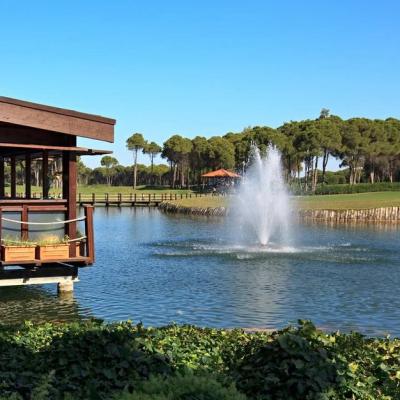 China Elektrisch betriebener schwimmender Brunnen für die Fernbedienung zu verkaufen