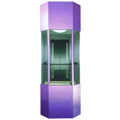 China Latest Design Top Quality Modern Passenger Elevators Manufacturers Te koop