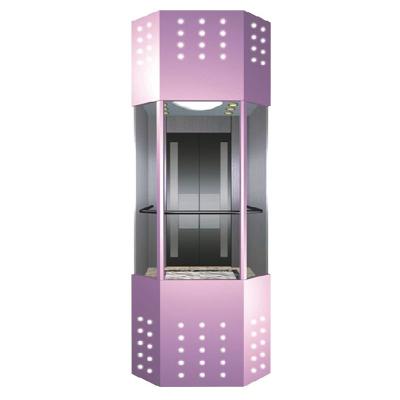 China Small Villa Elevator Modern Glass Residential Small Elevator Elevator Te koop