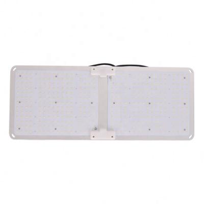 China Seed Starting Factory Direct Sale 3000K 5000K High Quality Aluminum Alloy 450W Diy Led Grow Light Tube for sale