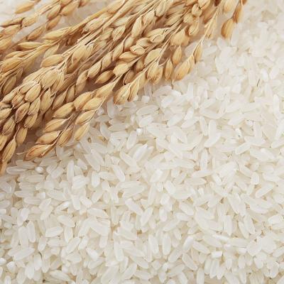 China Natural Taste Wholesale Supplier Grain Rice Sushi Organic Chinese Short Rice for sale