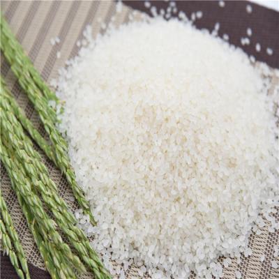 China Organic Thai Rice Jasmine Thai Rice From OEM Fresh Long Grain White Rice Gaishi for sale