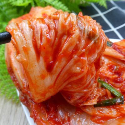 China Low Fat Kimchi Sauce Korean Kimchi Kimchi Korean Cabbage With Fresh Celery Cabbage for sale