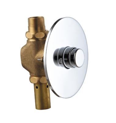 China Self Closing Toilet Hand Control Hand Push Toilet Flush Valve for sale