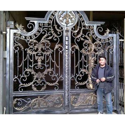 China Durable Luxury Door Solid Wrought Iron Door For Modern House Styles for sale