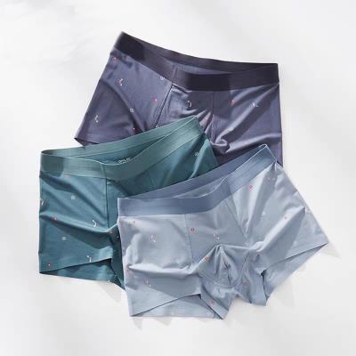 China Other Spot Product Popular Wholesale Teen Boys Man Underwear Briefs Cotton for sale