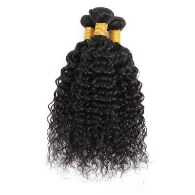 China African American European Remy Hair Wig Curly Curly Water Wave Style Hair Wigs Color Women for sale