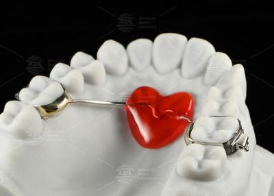 China Roestvrij staal orthodontische Nance-apparaat hoefijzerontwerp orthodontische apparaten Te koop