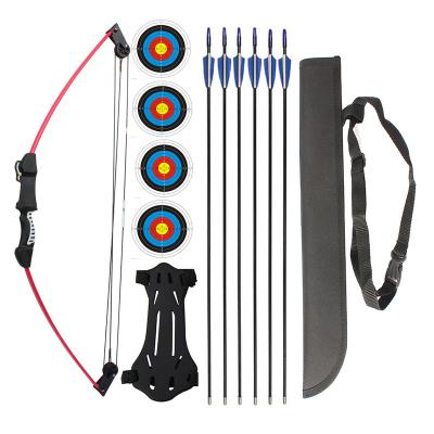 China Leixun Archery Youth Compound Shooting Archery Set for Kids with Arrow Shake and Fiberglass Arrows 12lbs Suction Weight for sale