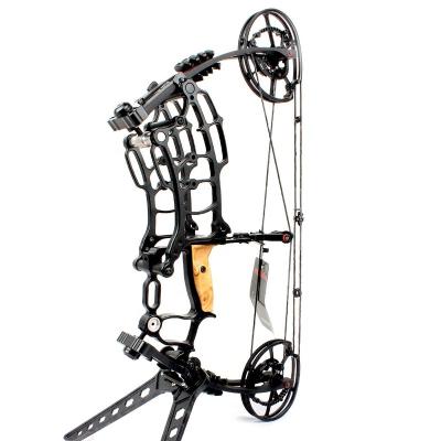 China Hunting Leixun Archery CNC Thug Compound Bow For Hunting Bare Bow Arrow And Steel Ball Triangle Shooting Bow For Hunting for sale