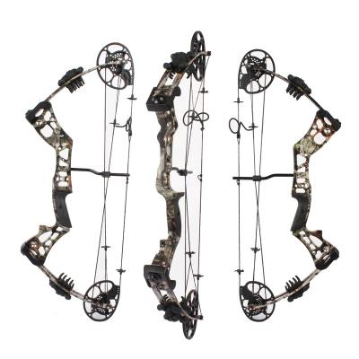 China Leixun Archery KS01 Compound Shooting Bow For Beginners 15-45lbs Draw Weight RH Bow For Youth Compound Shooting Bow for sale