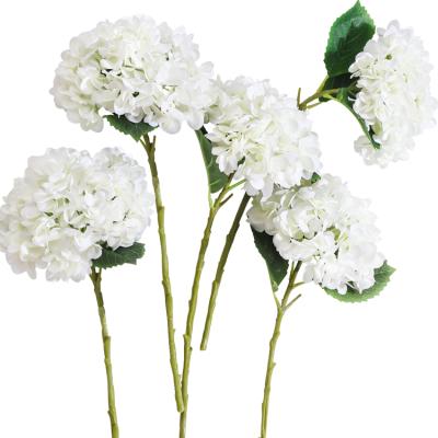 China Wholesale Simple White Silk Flower Bouquet of Artificial Flowers Preserved Long Stem Hydrangea for Party Wedding and Home Decor for sale