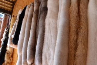 Verified China supplier - Hebei Danruo Fur Trading Co., Ltd.