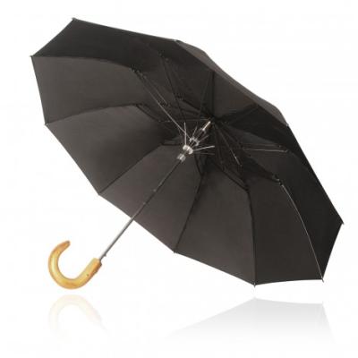 China Modern Promotional Logo 2 Fold Auto Open Umbrellas Golf Folding Umbrella For Rain for sale