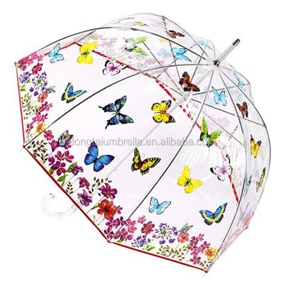 China All In 1 Butterfly See Transparent Bubble Umbrella for sale