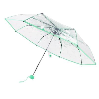 China modern cheap transparent 3 fold automatic umbrella for sale