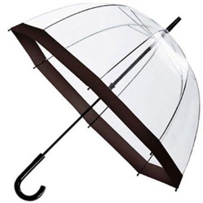 China Apollo POE Modern Stylish Clear Umbrella Transparent White Straight Umbrella for sale