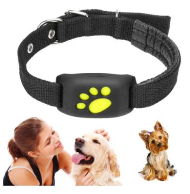 China Bluetooth Finder Pet Cat Puppy Location Tracker System Smart Gps Dog Collar for sale