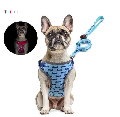 China Viable Fashion Dog Product Pet Supplies LED Harness Leash Rope Belt Dog Collar Vest Flashing Light Harness for sale