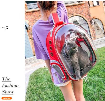 China Plastic Cat Travel Carrier, Bike Pet Bag Viable Wholesale Fashion Luxury Pet Carrier for sale