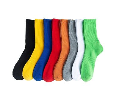 China Hot Selling Women's Socks QUICK DRY Thickened Terry Socks Women's Mid Winter Crew Sock Warm for sale