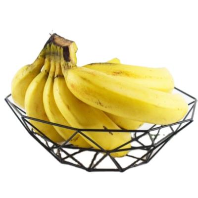 China New Style High Grade Iron Flat Craft Fruit Household Vegetable Tray for sale