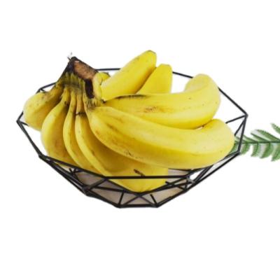 China Factory wholesale price iron craft simple design CLASSIC fruit display plate trays for sale