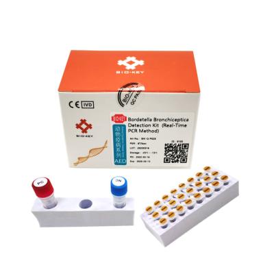 China Uitrusting van de de Sondeopsporing van BB de Katachtige Cat Test Kit Bordetella Bronchiseptica rechts QPCR Taqman Te koop