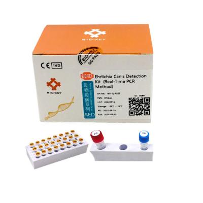 China PCR van Taqmanehrlichia Canis Test de Hondsversterking van Kit Nucleic Acid van de Hondtest Te koop