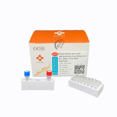 China EDW.P Aquaculture Pathogen Edwardsiella Piscicida Septicaemia Virus RT PCR Kit for sale